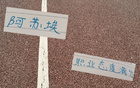 阿蘇埃加班敬業(yè)，申花新援滿分態(tài)度！