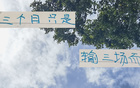 申花8月前僅敗三場，顯露霸氣。