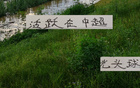 光頭球星，海港教練，誰(shuí)更摯愛(ài)？中超風(fēng)采！