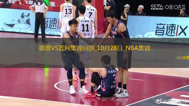 10月28日NBA常規(guī)賽 雄鹿 - 籃網(wǎng) 精彩鏡頭