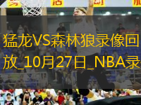 NBA常規(guī)賽猛龍101-112森林狼