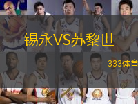 錫永VS蘇黎世