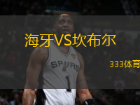 海牙VS坎布爾