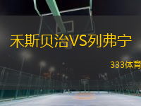 禾斯貝治VS列弗寧