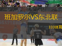 班加羅爾VS東北聯(lián)