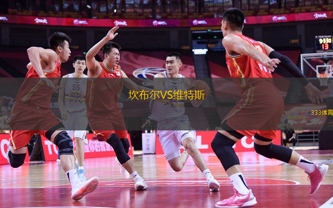 坎布爾VS維特斯