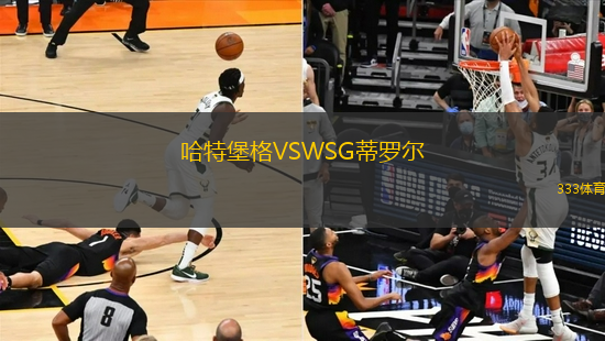 哈特堡格VSWSG蒂羅爾
