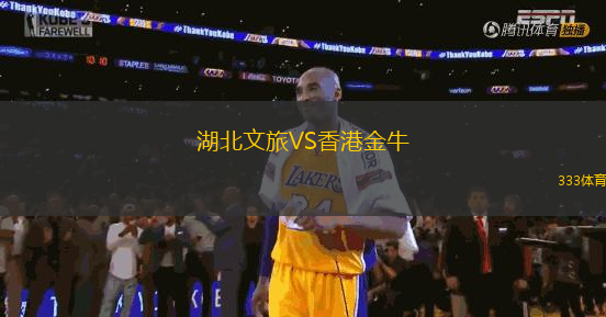 湖北文旅VS香港金牛