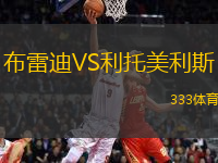 布雷迪VS利托美利斯