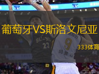 葡萄牙VS斯洛文尼亞