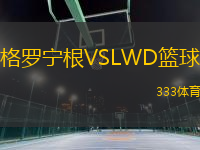 格羅寧根VSLWD籃球