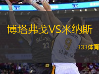博塔弗戈VS米納斯