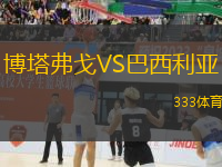 博塔弗戈VS巴西利亞