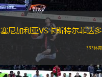 塞尼加利亞VS卡斯特爾菲達(dá)多