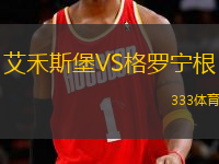 艾禾斯堡VS格羅寧根