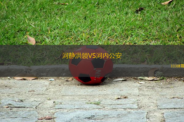 河靜洪領(lǐng)VS河內(nèi)公安