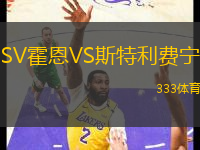 SV霍恩VS斯特利費寧
