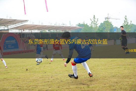 東莞新彤盛女籃VS內(nèi)蒙古農(nóng)信女籃